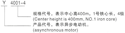 西安泰富西玛Y系列(H355-1000)高压汝州三相异步电机型号说明